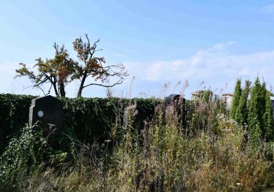 Malý Háj, Omnium, 2018