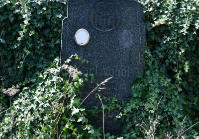 Malý Háj, Omnium, 2018