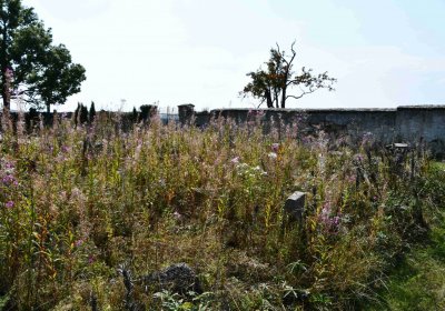 Malý Háj, Omnium, 2018