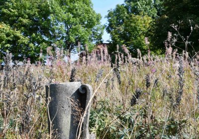 Malý Háj, Omnium, 2018