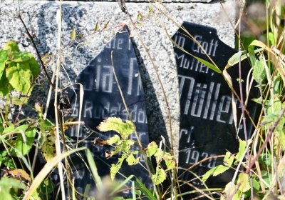 Malý Háj, Omnium, 2018