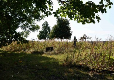 Malý Háj, Omnium, 2018