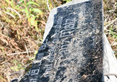 Malý Háj, Omnium, 2018