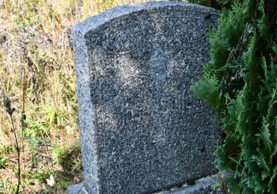 Malý Háj, Omnium, 2018