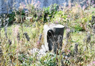 Malý Háj, Omnium, 2018