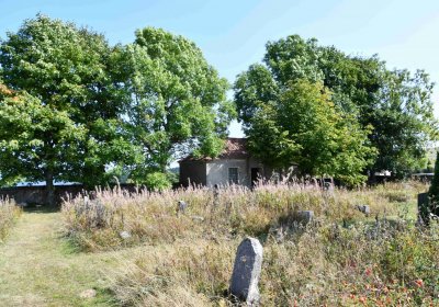 Malý Háj, Omnium, 2018