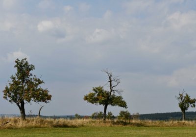 Malý Háj, Omnium, 2018