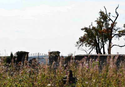 Malý Háj, Omnium, 2018