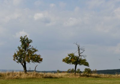 Malý Háj, Omnium, 2018
