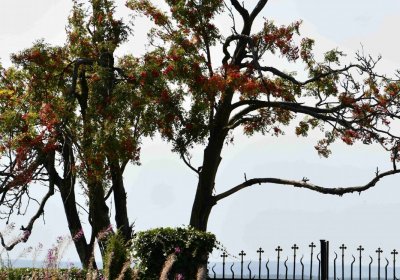 Malý Háj, Omnium, 2018