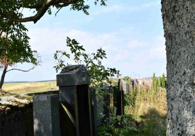 Malý Háj, Omnium, 2018