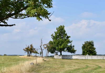 Malý Háj, Omnium, 2018