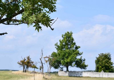 Malý Háj, Omnium, 2018