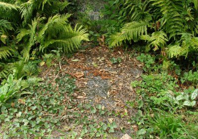 Kmínek Michal, 2020