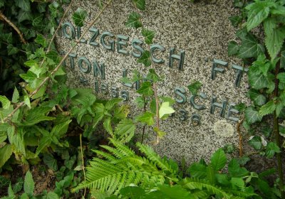 Kmínek Michal, 2020