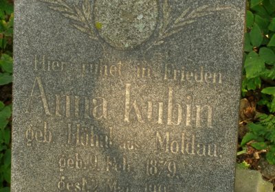 Kmínek Michal, 2020