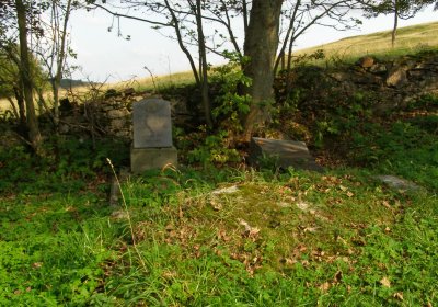 Kmínek Michal, 2020