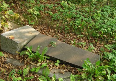 Kmínek Michal, 2020