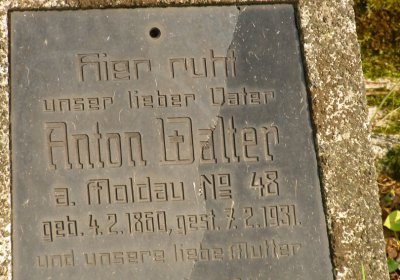 Kmínek Michal, 2020