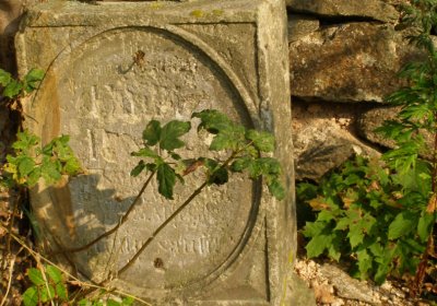 Kmínek Michal, 2020