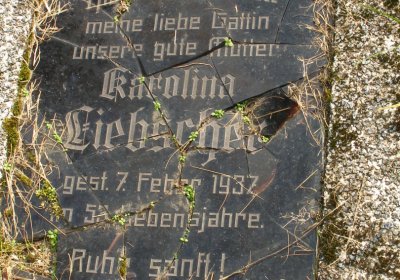 Kmínek Michal, 2020