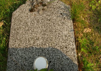 Kmínek Michal, 2020