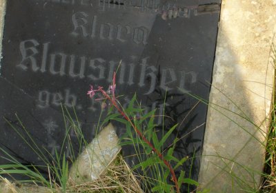 Kmínek Michal, 2020