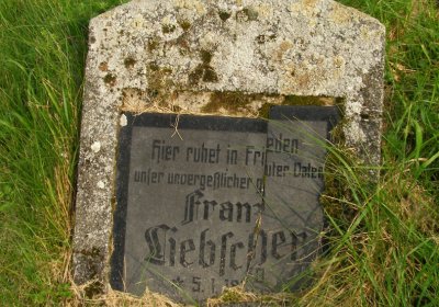 Kmínek Michal, 2020