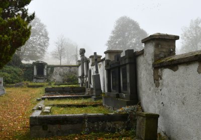 Nová Ves v Horách, Omnium, 2020