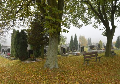 Nová Ves v Horách, Omnium, 2020