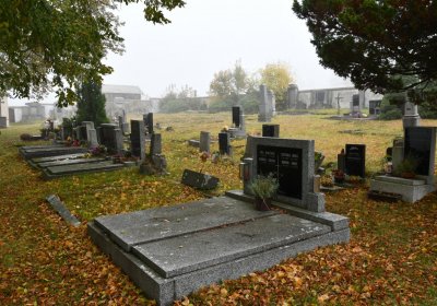 Nová Ves v Horách, Omnium, 2020