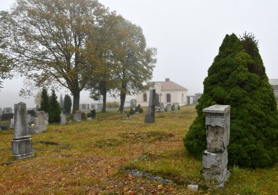 Nová Ves v Horách, Omnium, 2020