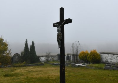 Nová Ves v Horách, Omnium, 2020