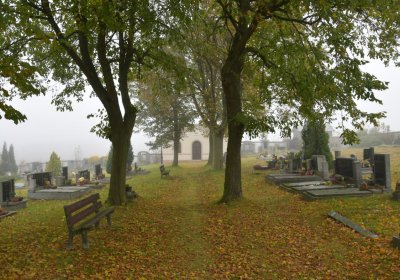 Nová Ves v Horách, Omnium, 2020