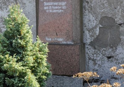 Nová Ves v Horách, Omnium, 2018