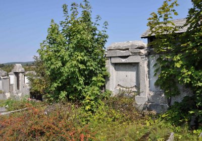 Nová Ves v Horách, Omnium, 2018