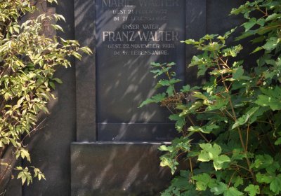 Nová Ves v Horách, Omnium, 2018