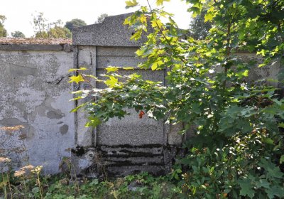 Nová Ves v Horách, Omnium, 2018