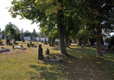 Nová Ves v Horách, Omnium, 2018