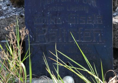 Nová Ves v Horách, Omnium, 2018