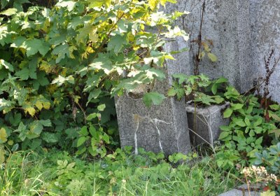 Nová Ves v Horách, Omnium, 2018