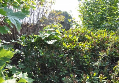 Nová Ves v Horách, Omnium, 2018