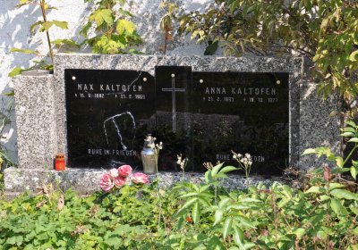 Nová Ves v Horách, Omnium, 2018