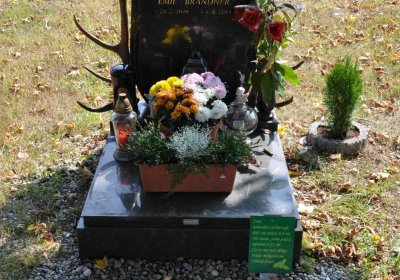 Nová Ves v Horách, Omnium, 2018