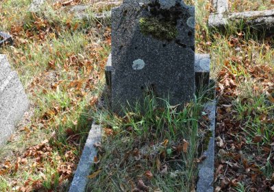 Nová Ves v Horách, Omnium, 2018