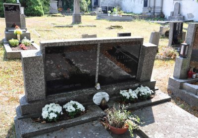 Nová Ves v Horách, Omnium, 2018