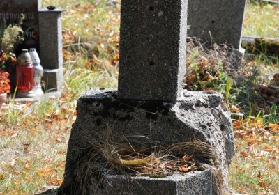 Nová Ves v Horách, Omnium, 2018