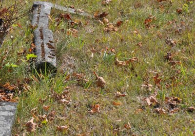 Nová Ves v Horách, Omnium, 2018