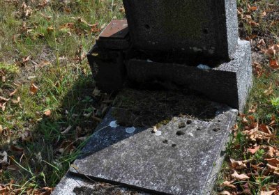 Nová Ves v Horách, Omnium, 2018