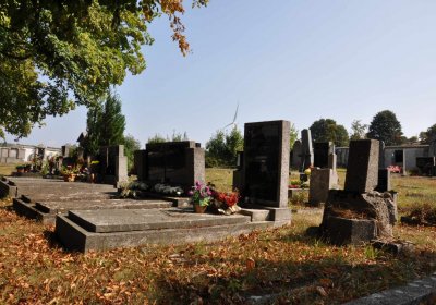 Nová Ves v Horách, Omnium, 2018